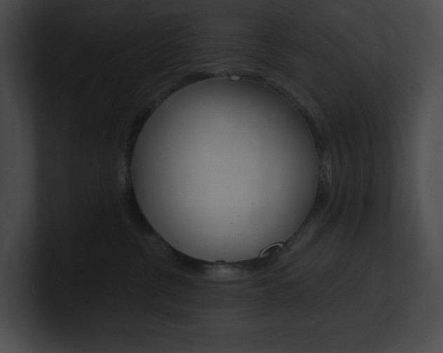 X0000101160380200806270738