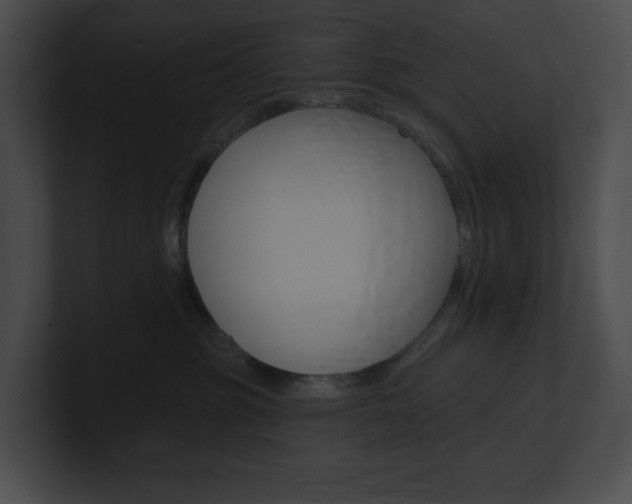 X0000101160381200806270738