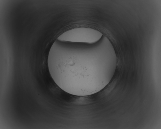 X0000101160382200806270738