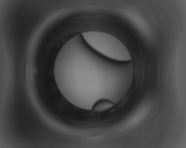 X0000101160383200806270738