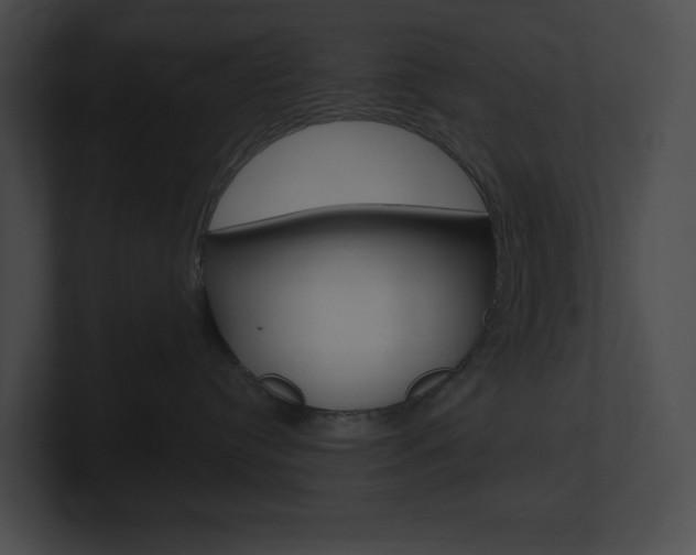X0000101160384200806270738