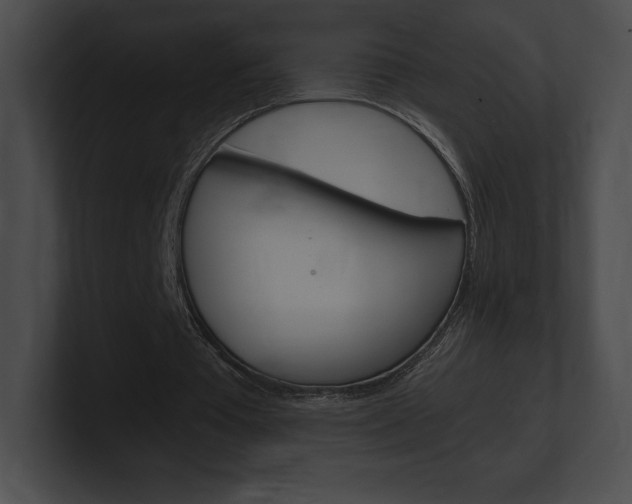 X0000101160385200806270737