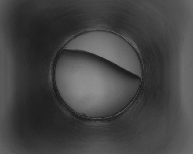 X0000101160389200806270737