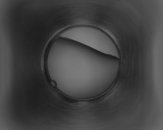 X0000101160391200806270737