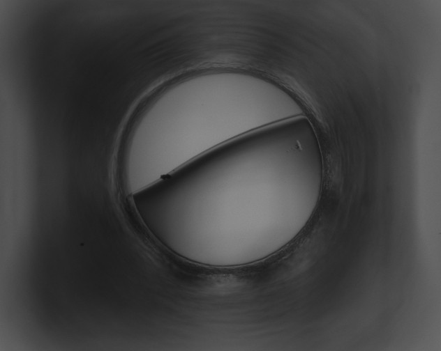 X0000101160392200806270737