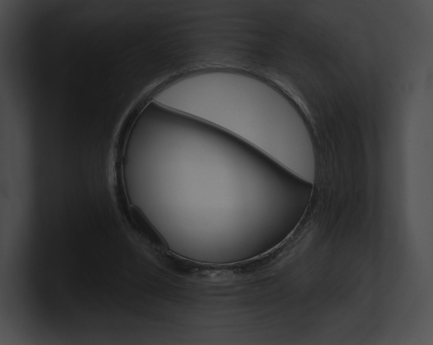 X0000101160395200806270737