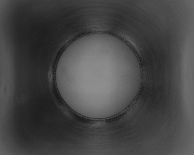 X0000101160398200806270737