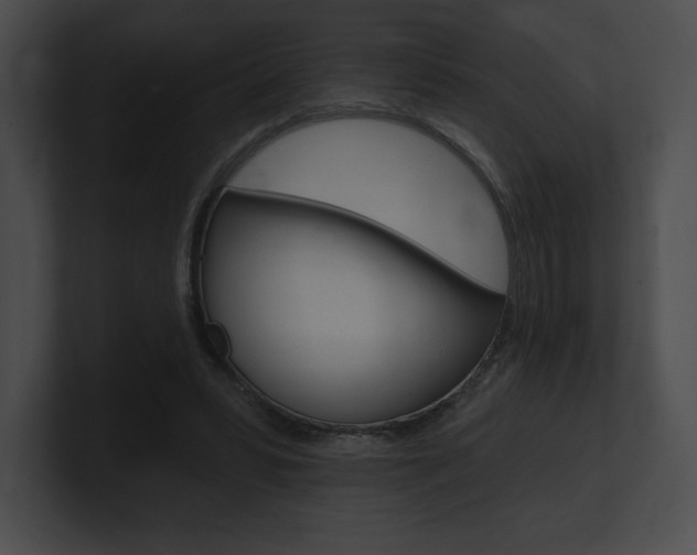 X0000101160399200806270737