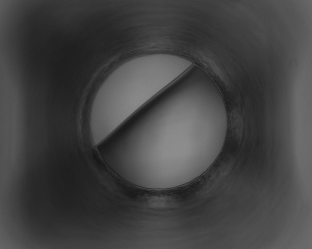 X0000101160400200806270737
