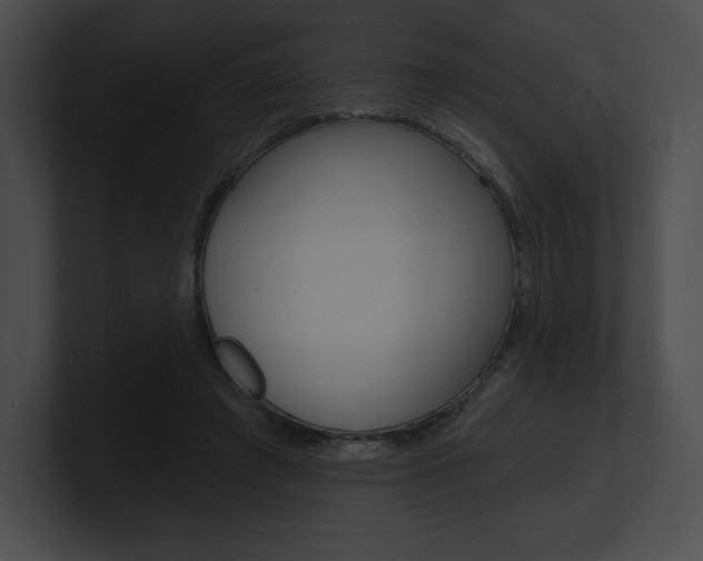 X0000101160401200806270737