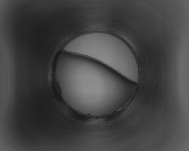 X0000101160403200806270737