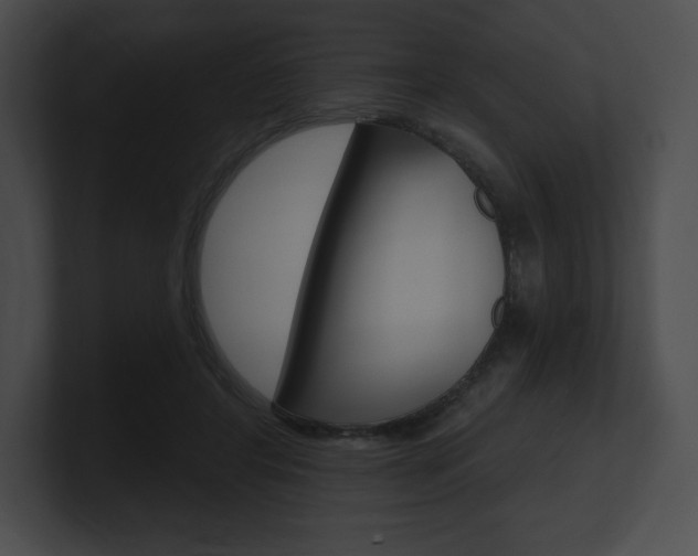 X0000101160404200806270737
