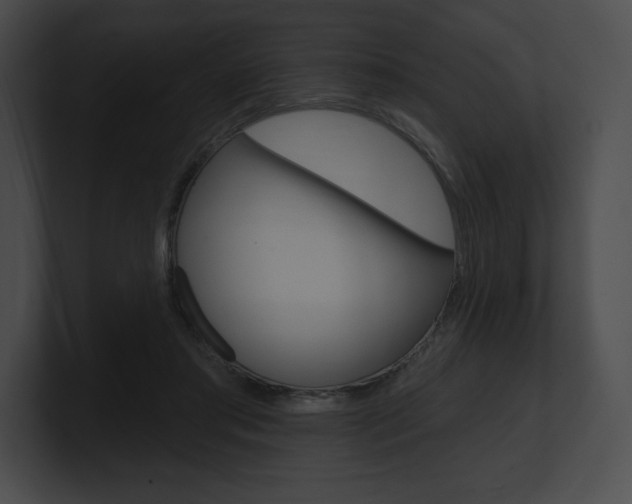 X0000101160405200806270737
