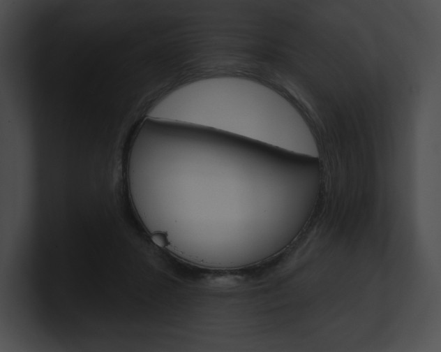 X0000101160407200806270737
