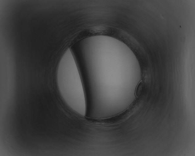 X0000101160408200806270737