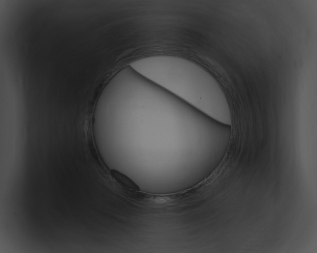 X0000101160409200806270737