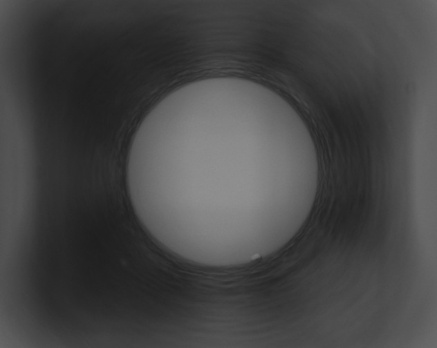 X0000101160411200806270737