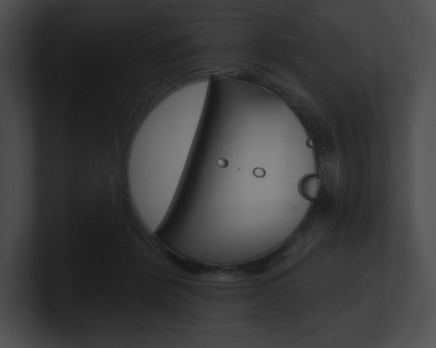 X0000101160412200806270737
