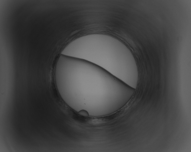 X0000101160413200806270737
