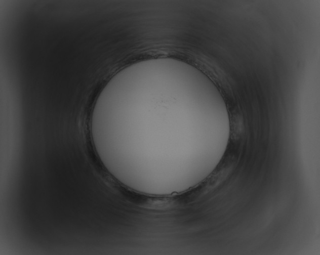 X0000101160414200806270737