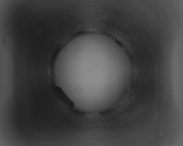 X0000101160415200806270737