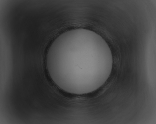 X0000101160416200806270737