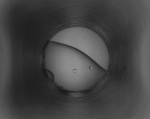X0000101160417200806270737