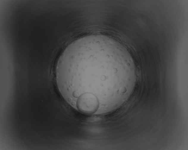 X0000101160418200806270737