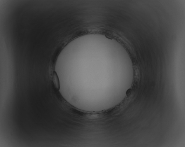 X0000101160419200806270737