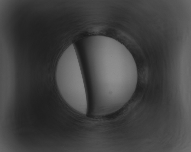 X0000101160420200806270737