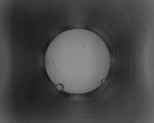 X0000101160423200806270737