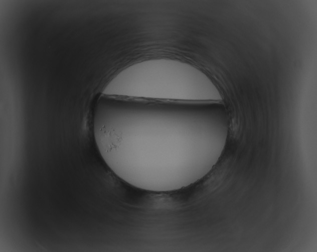 X0000101160424200806270737