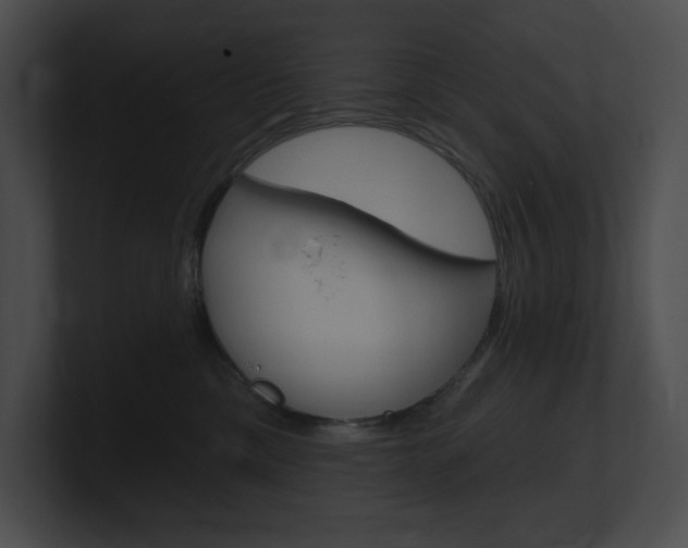 X0000101160425200806270737