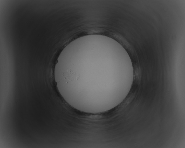 X0000101160426200806270736