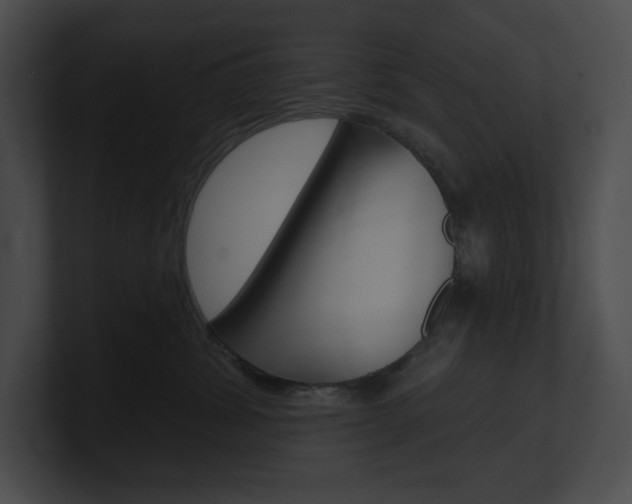 X0000101160428200806270736