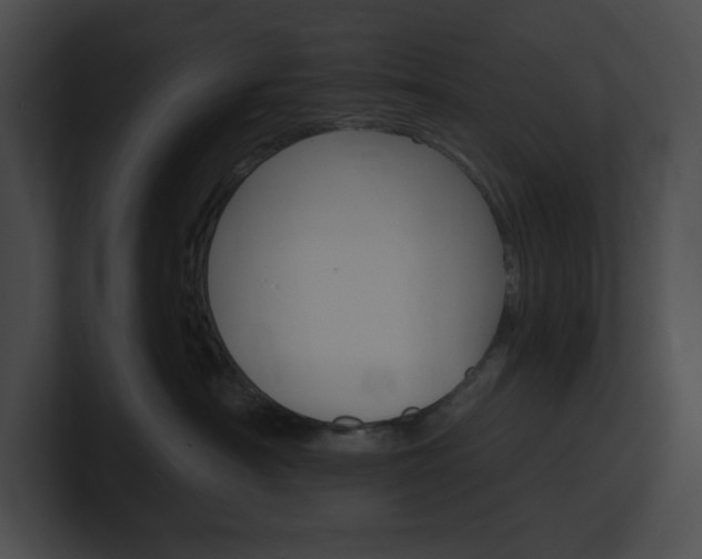 X0000101160430200806270736