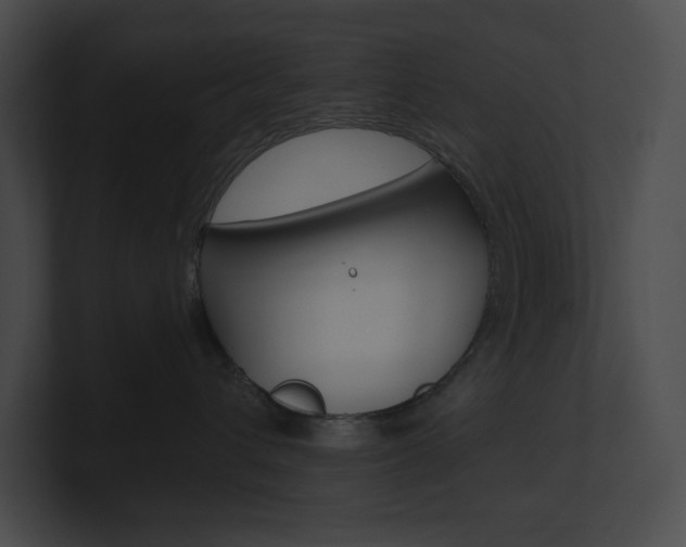 X0000101160432200806270736