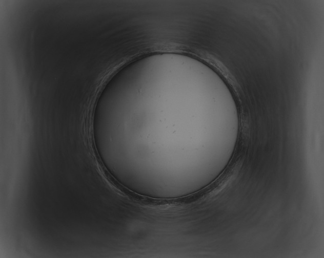 X0000101160433200806270736