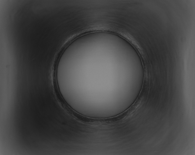X0000101160434200806270736