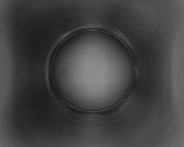 X0000101160436200806270736