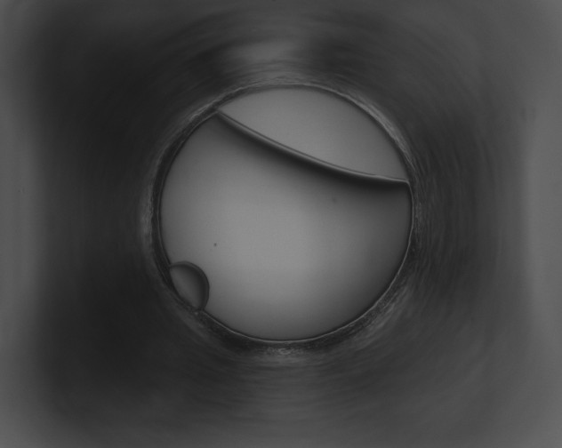 X0000101160437200806270736