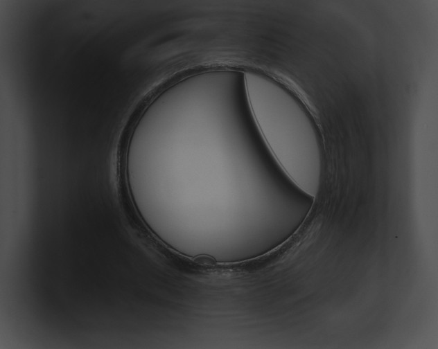 X0000101160439200806270736
