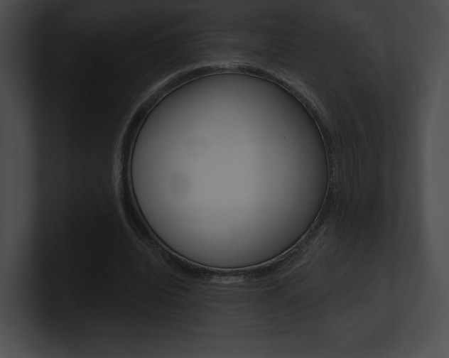 X0000101160440200806270736