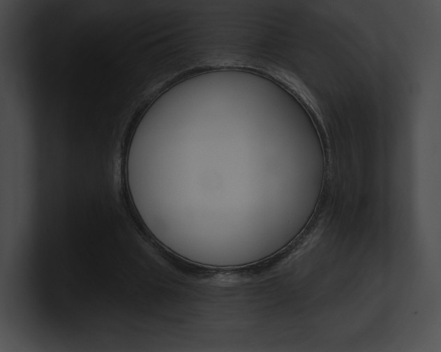 X0000101160441200806270736