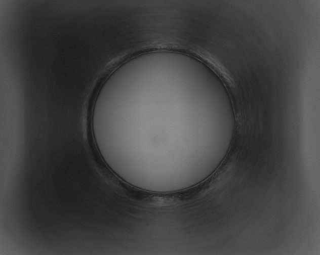 X0000101160442200806270736