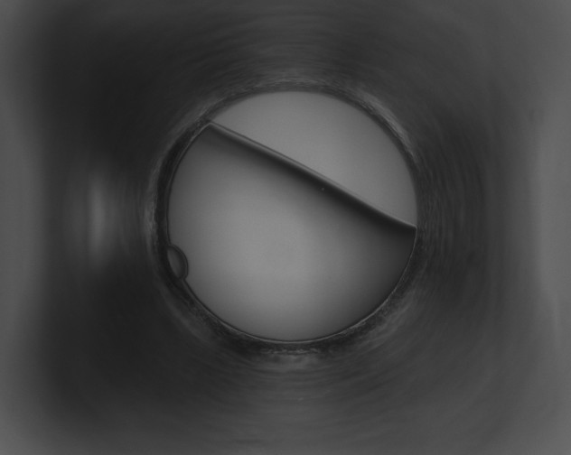 X0000101160443200806270736