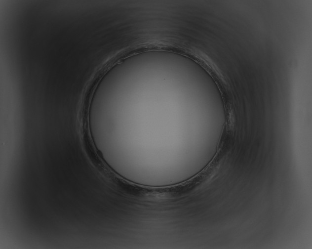 X0000101160444200806270736