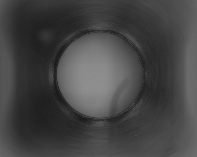 X0000101160446200806270736