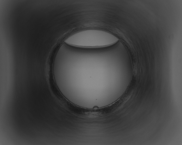 X0000101160448200806270736