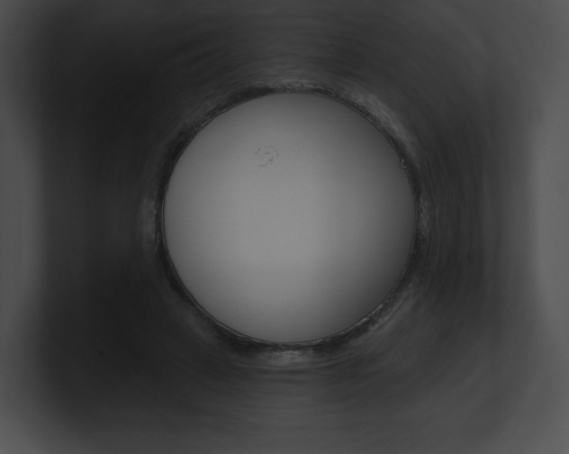 X0000101160449200806270736